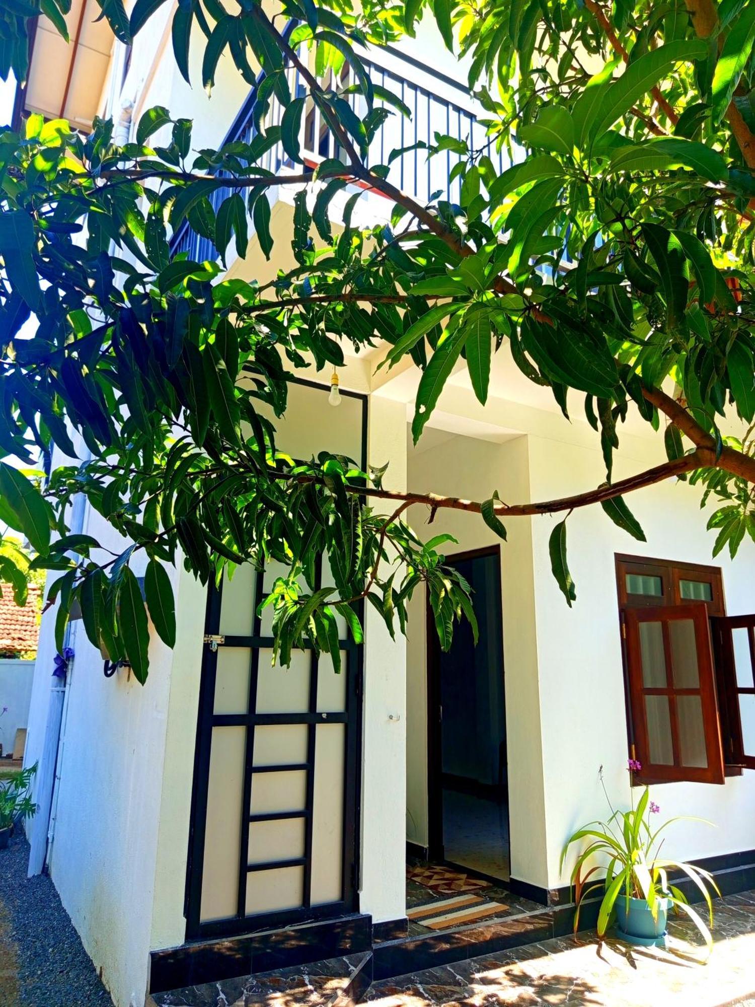 Olu Bunk Apartment